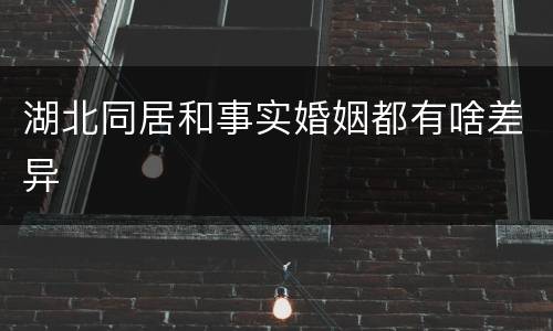 湖北同居和事实婚姻都有啥差异