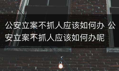 公安立案不抓人应该如何办 公安立案不抓人应该如何办呢