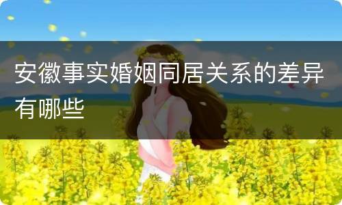 安徽事实婚姻同居关系的差异有哪些