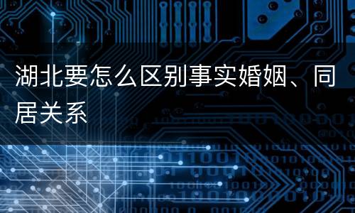 湖北要怎么区别事实婚姻、同居关系