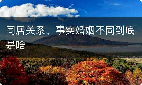 同居关系、事实婚姻不同到底是啥