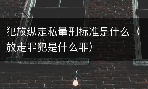 犯放纵走私量刑标准是什么（放走罪犯是什么罪）