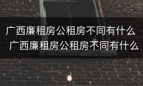 广西廉租房公租房不同有什么 广西廉租房公租房不同有什么区别