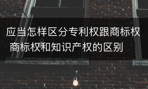 应当怎样区分专利权跟商标权 商标权和知识产权的区别