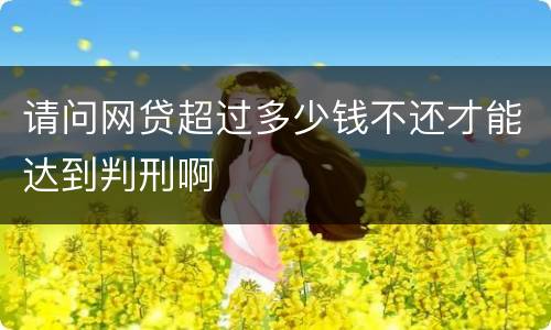 请问网贷超过多少钱不还才能达到判刑啊