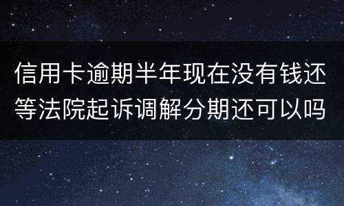 信用卡逾期半年现在没有钱还等法院起诉调解分期还可以吗