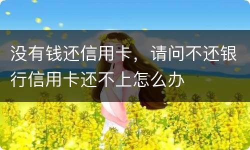 没有钱还信用卡，请问不还银行信用卡还不上怎么办