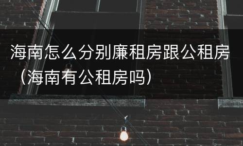海南怎么分别廉租房跟公租房（海南有公租房吗）