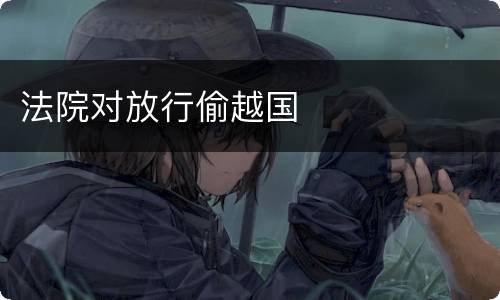 法院对放行偷越国