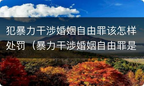 犯暴力干涉婚姻自由罪该怎样处罚（暴力干涉婚姻自由罪是行为犯吗）