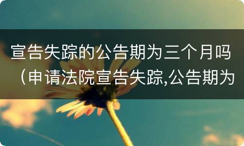 宣告失踪的公告期为三个月吗（申请法院宣告失踪,公告期为3个月）