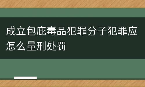 成立包庇毒品犯罪分子犯罪应怎么量刑处罚
