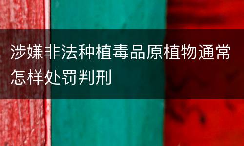 涉嫌非法种植毒品原植物通常怎样处罚判刑