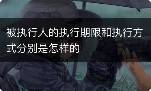 被执行人的执行期限和执行方式分别是怎样的