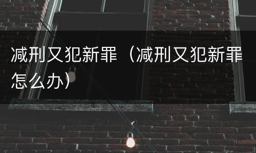 减刑又犯新罪（减刑又犯新罪怎么办）