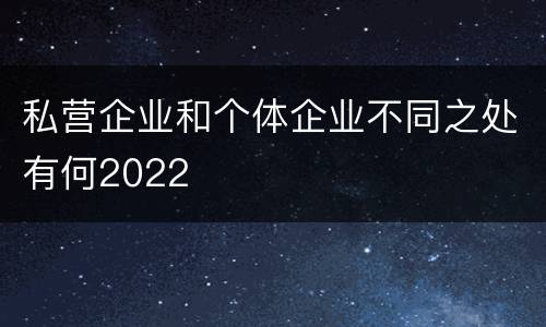 私营企业和个体企业不同之处有何2022