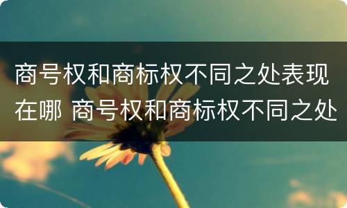 商号权和商标权不同之处表现在哪 商号权和商标权不同之处表现在哪方面