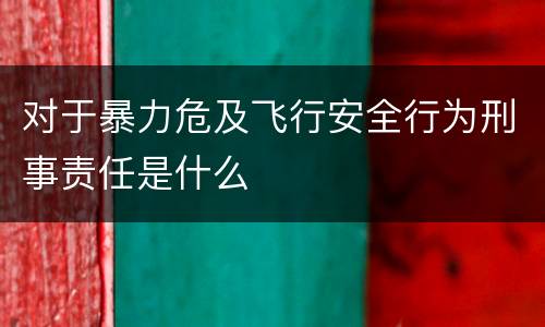对于暴力危及飞行安全行为刑事责任是什么