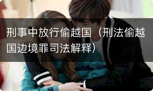 刑事中放行偷越国（刑法偷越国边境罪司法解释）