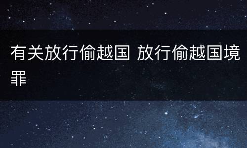 有关放行偷越国 放行偷越国境罪