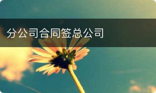 分公司合同签总公司