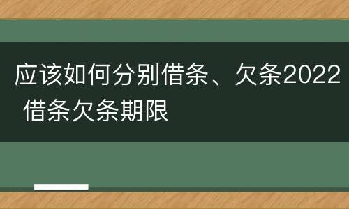 应该如何分别借条、欠条2022 借条欠条期限