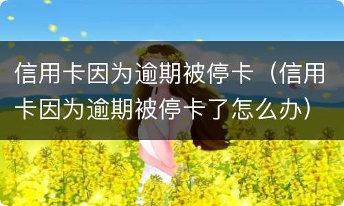 信用卡因为逾期被停卡（信用卡因为逾期被停卡了怎么办）