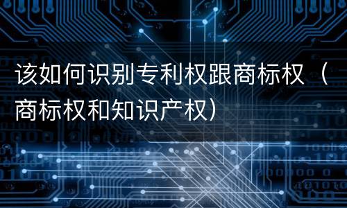 该如何识别专利权跟商标权（商标权和知识产权）