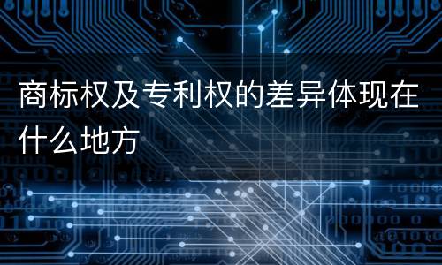 商标权及专利权的差异体现在什么地方
