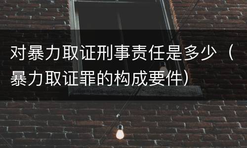 对暴力取证刑事责任是多少（暴力取证罪的构成要件）
