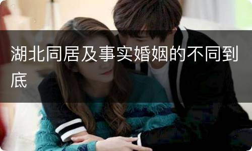 湖北同居及事实婚姻的不同到底