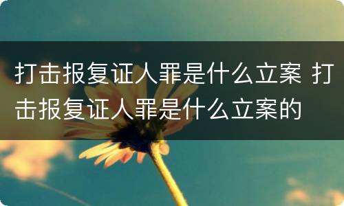 打击报复证人罪是什么立案 打击报复证人罪是什么立案的
