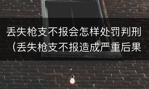 丢失枪支不报会怎样处罚判刑（丢失枪支不报造成严重后果）