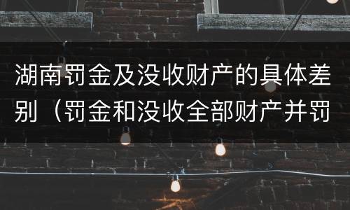 湖南罚金及没收财产的具体差别（罚金和没收全部财产并罚）