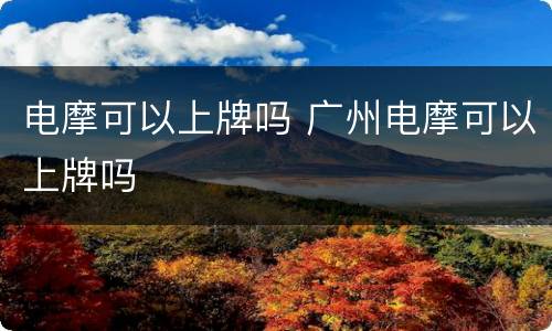 电摩可以上牌吗 广州电摩可以上牌吗