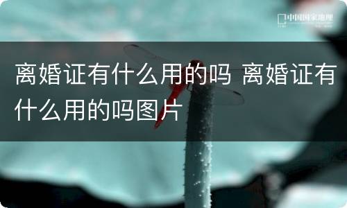 离婚证有什么用的吗 离婚证有什么用的吗图片