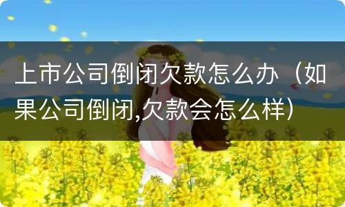 上市公司倒闭欠款怎么办（如果公司倒闭,欠款会怎么样）