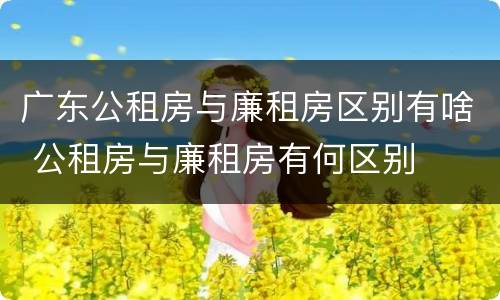 广东公租房与廉租房区别有啥 公租房与廉租房有何区别