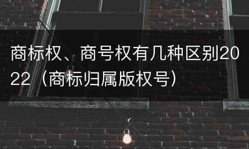 商标权、商号权有几种区别2022（商标归属版权号）