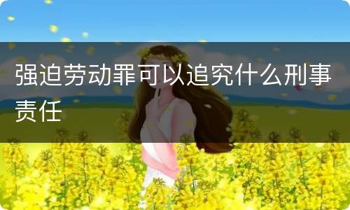 强迫劳动罪可以追究什么刑事责任