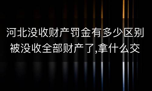河北没收财产罚金有多少区别 被没收全部财产了,拿什么交罚金