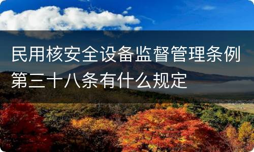 民用核安全设备监督管理条例第三十八条有什么规定