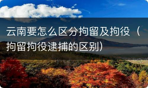 云南要怎么区分拘留及拘役（拘留拘役逮捕的区别）