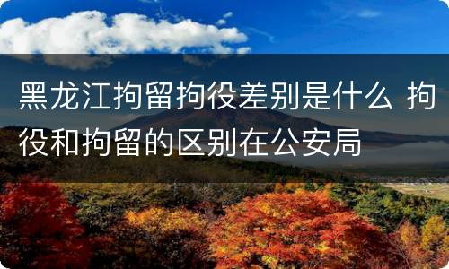 黑龙江拘留拘役差别是什么 拘役和拘留的区别在公安局