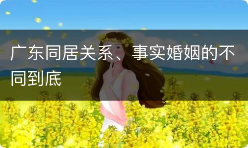 广东同居关系、事实婚姻的不同到底