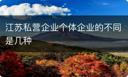 江苏私营企业个体企业的不同是几种