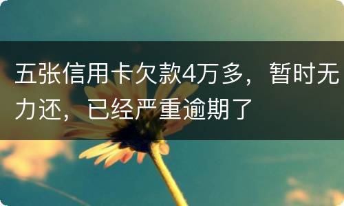五张信用卡欠款4万多，暂时无力还，已经严重逾期了