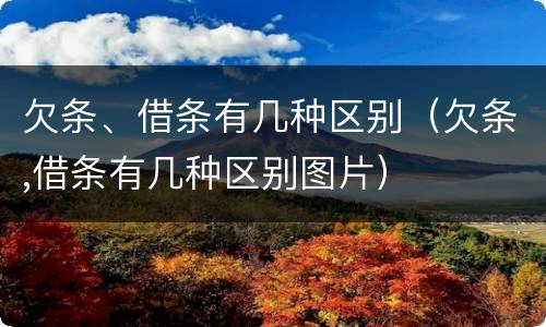 欠条、借条有几种区别（欠条,借条有几种区别图片）