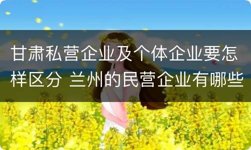 甘肃私营企业及个体企业要怎样区分 兰州的民营企业有哪些