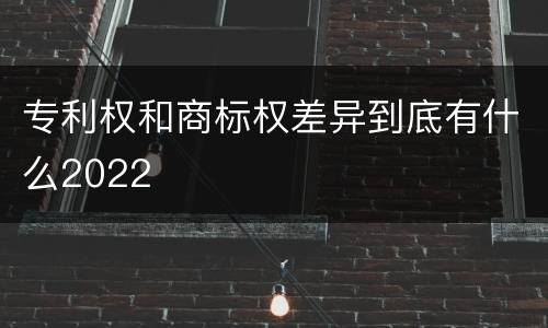 专利权和商标权差异到底有什么2022
